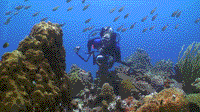 Back to Bonaire